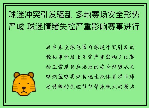 球迷冲突引发骚乱 多地赛场安全形势严峻 球迷情绪失控严重影响赛事进行
