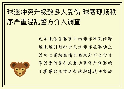 球迷冲突升级致多人受伤 球赛现场秩序严重混乱警方介入调查